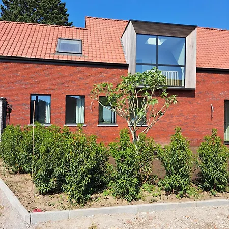 Jubaru Tournai