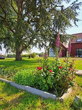 Сasa de vacaciones Jubaru