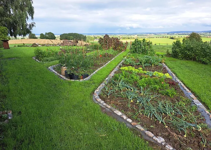 Сasa de vacaciones Jubaru *